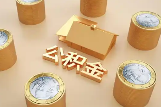 洛阳退休公积金代办提取额度是多少？